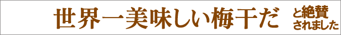 ���E��̔~�����Ɛ�^