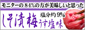 ������9���́u�����Д~���������v