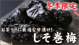 �G�ߌ��肵�����~�B�̔���3��31���܂�