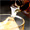�ڎw�����͉̂ƒ�̖��I�嗱���n�~���ӂ񂾂�ɒЂ����񂾁u����-JIBOU-�v 