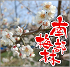 �암�~�я��2011