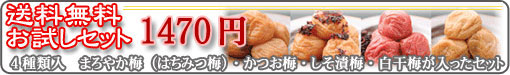�S��EC���c��O�b�h�f�U�C���V���b�v2004�ɔF�肳��܂����B