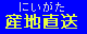 �������̂j�t�q�h�s�`