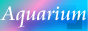�q�[�����O�V���b�v�@�A�N�A���E��