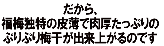�����炱�̗l�Ȕ~�����o���オ��