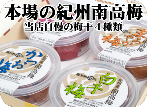 �ґ�~����4��ނ������Z�b�g�B