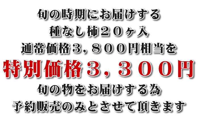 �{�̎����ɂ��͂�����׊��S�\�񐧂ł̔����ł��I