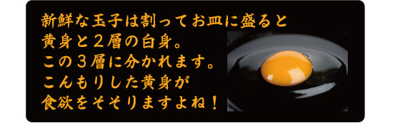 �V�N�Ȃ��܂��͉��g�ƂQ�w�̔��g�ɕ�����܂�