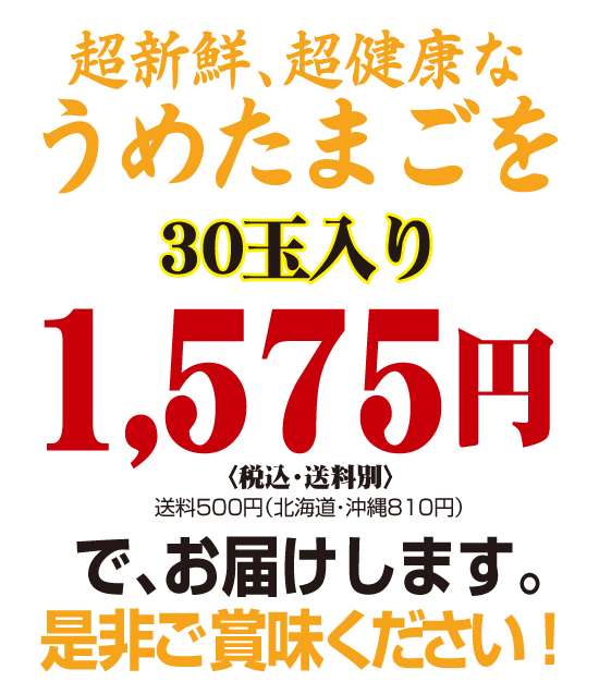 ���߂��܂���30�ʓ���1,575�~�i�ō��E�����ʁj�ł��͂����܂�