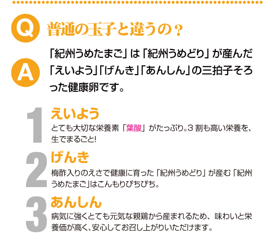 ���ʂ̋ʎq�ƈႤ�́H�P�h�{�Q���C�R���S�I