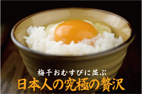 �ʎq�ƌ����΂��܂����͂�I���{�l�̋��ɂ��ґ�