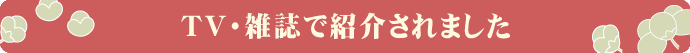TV�E���W�I�E�G���ŏЉ��܂����B
