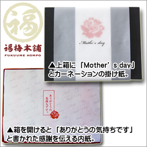 梅の本場紀州のはちみつ梅を母の日限定のパッケージでお届け!「梅まくら」