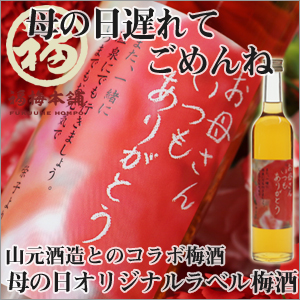 【母の日】感謝の気持ちを梅酒ラベルに こめて♪【母の日】母の日限定オリジナルラベル福梅酒【造花カーネーション付】