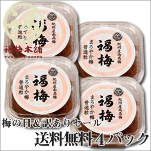 �y���������E�|�C���g10�{�z