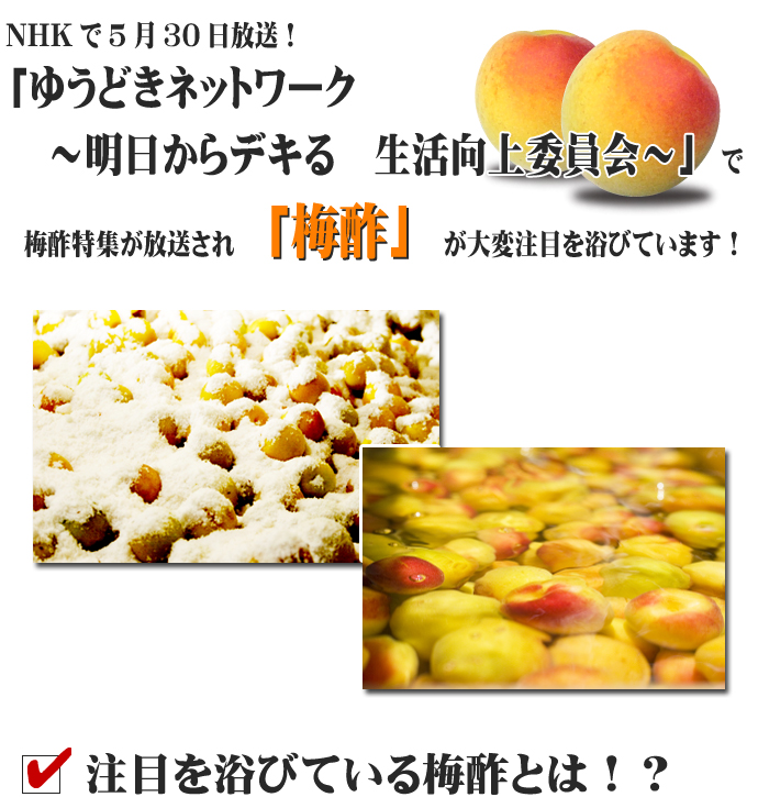 NHKu䂤ǂlbg[NvŔ~|Ws܂I