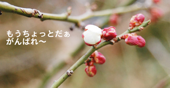 Ƃ΂`