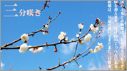 ~ԎO炫B