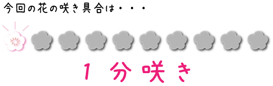 ̐1炫I