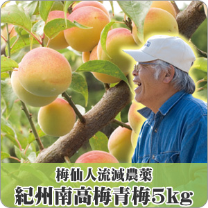 紀州紅南高梅　低農薬＊朝取れ＊即日 紀州 南高梅使用〉紀州梅酒 紅南高 720ml – STAR FIELD