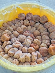 紀州梅干し専門店 福梅本舗